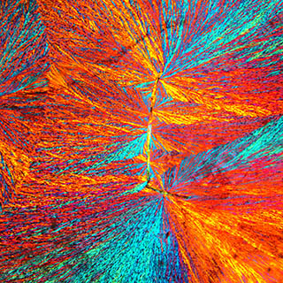 5fe98a0a1 TrueChrome Metrics 1080P HDMI Microscope Camera