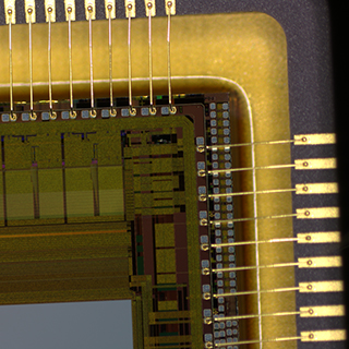 66ee899a TrueChrome Metrics 1080P HDMI Microscope Camera