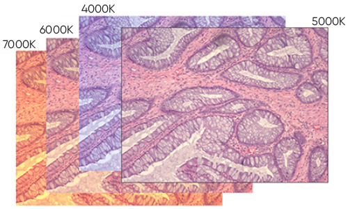 MIchrome 16 16MP USB3.0 CMOS Camera with Live Stitching and Live EDF.