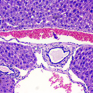 855abcd0 2MP USB2.0 CMOS Camera with Frame Rate Greatly Improved.